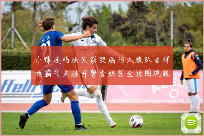 小球迷鸡块失窃哭成泪人狼队吉祥物霸气互娃并警告奶爸全场围观暖心反转