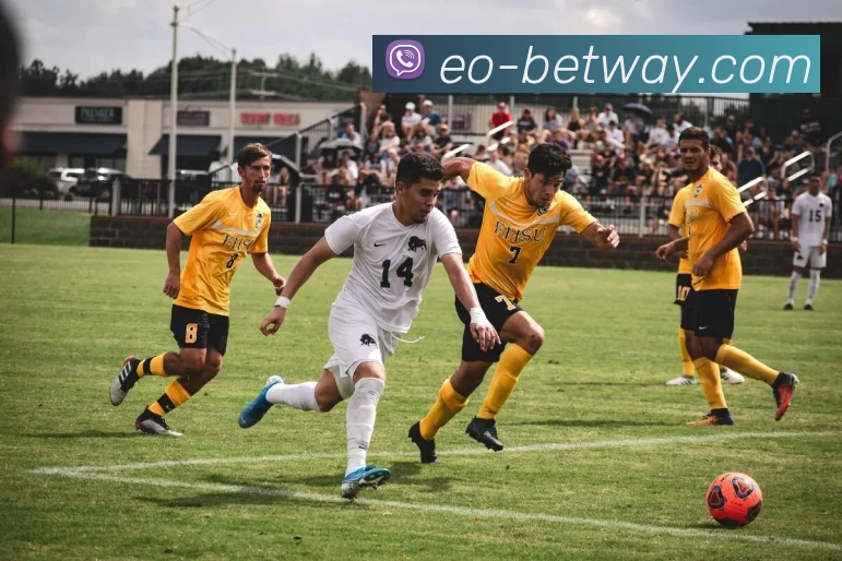 必威电竞官网APP 封面图